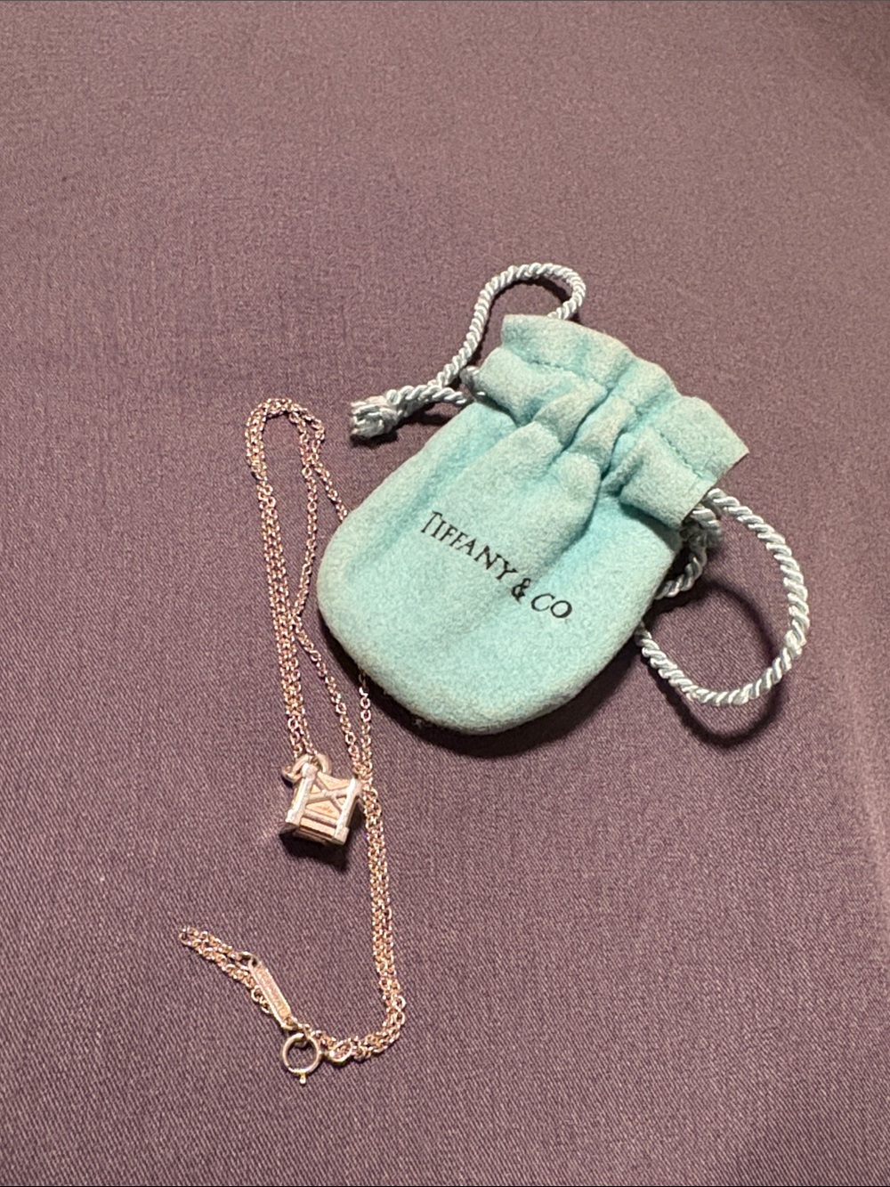 Tiffany & Co Silver 925 Atlas Necklace With Pouch